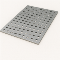 Лист перфорированный стальной Rv 2.0-2.5 1х1000х2000 мм 08пс ГОСТ Р 58602-2019