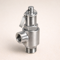 Предохранительный клапан ВР/ВР AISI 316L DN 32